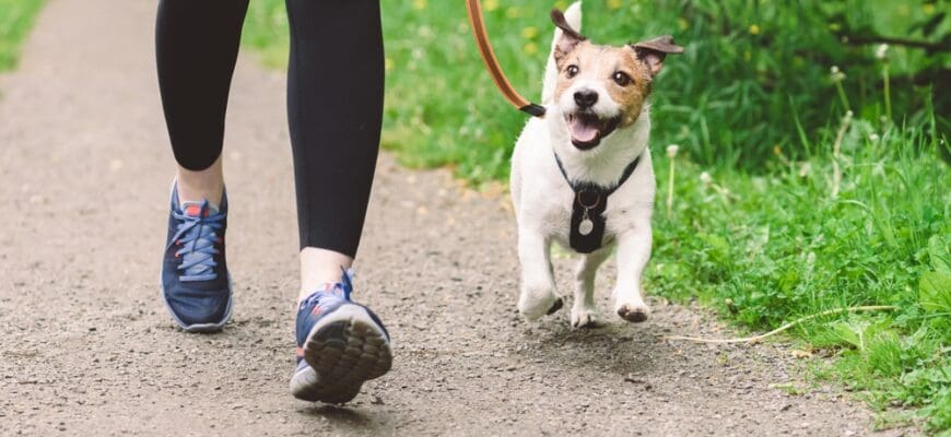 Woman,Running,With,Dog,To,Workout,During,Morning,Walk